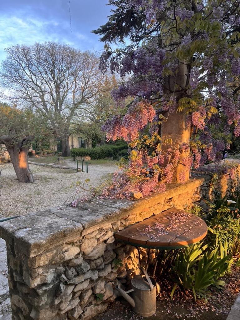 Mas De Monge Hotel Tarascon Bagian luar foto